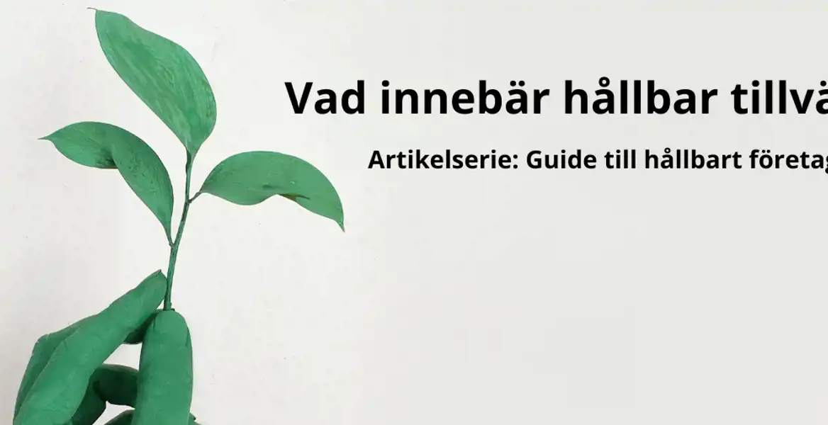 Vad innebär hållbar tillväxt för företagare?